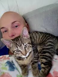 Missing black cat in Bancroft area, Tyrell and Cork Rd