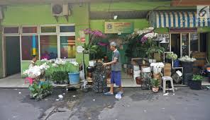 Keunggulan lain bunga ini memiliki ketahanan dari sisi kesegaran dibanding bunga lainnya. Foto Rencana Revitalisasi Pasar Bunga Rawa Belong Page 1 News Liputan6 Com