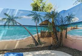 A Mural Painted In San Tan Valley Arizona Paintout Tiscar Murals This Is Part Of The Mural Around De Pool Is A Transiti Beach Mural San Tan Valley Outdoor
