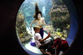 Our planet is over 70 percent water, containing an estimated 332.5 million cubic miles of water. The Tale Of A Real Life Professional Mermaid Port City Daily