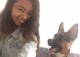 Missing Chiweenie Mix Dog Nala in Sparks, Nevada