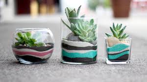 Maybe you would like to learn more about one of these? Layered Sand Succulent Planter Youtube