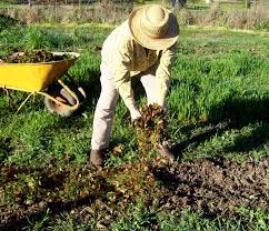 Mix well at a ratio of 5:1 to reduce acidity. When Is It Necessary To Do A Soil Ph Test Ask The Team