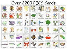 These Are The Shichida Flashcards Benefits On Your Gifted Child Pecs Communication Pecs Pictures Autism Classroom