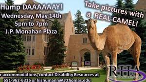 It can go for long periods without having anything to eat or drink. Camel Controversy A New Pc Low National Review