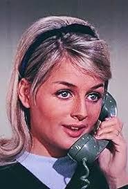 Diane Libby's Instagram, Twitter & Facebook