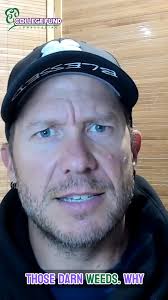 ad Weeds were taking over again, so I ordered the Pennington Full Season  Weed & Feed