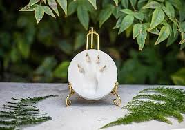 We realize each family has their own unique set of wishes when it comes to memorializing their pet. Clay Paw Print Only Cremations For Pets