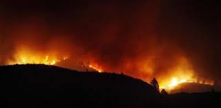 Los equipos de extinción del incendio forestal que se declaró el jueves en el municipio de arico (tenerife) han conseguido. Permanecen Activos Los Incendios De Tenerife Y La Palma