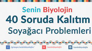 40 Soruda Kalitim Soyagaci Problemleri Youtube
