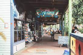 Native to australia, the macadamia nut is prized for its delicious buttery. Why Is Byron Bay Such A Popular Destination For Backpackers