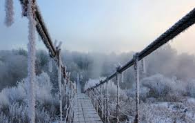 We did not find results for: Frozen Bridge Winter Trees Wallpapers Frozen Bridge Winter Trees Stock Photos