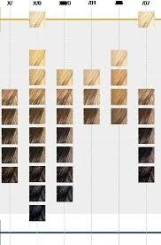 Hair color is the pigmentation of hair follicles due to two types of melanin: Ion Demi Permanent Hair Color Chart Hair Styles Andrew