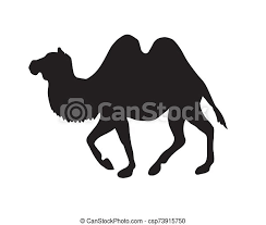 We have found a test for programming aptitude, of which we give details. Vector Flat Black Bactrian Camel Silhouette Vector Flat Black Bactrian Two Humped Camel Silhouette Isolated On White Canstock