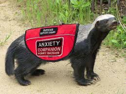 My Emotional Support Animal Emotional Support Animal Honey Badger Support Animal