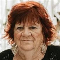 Carol Ann Higgins Obituary (2023)