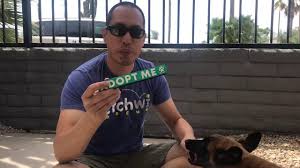 Learn more about safe haven puppy rescue in reston, va, and search the available pets they have up for adoption on petfinder. Max And Neo Donation News Page 9 Max And Neo