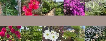 アンナカ造園 千葉県船橋市東町 造園 エクステリア外構工事 設計 施工 管理 植木の展示販売