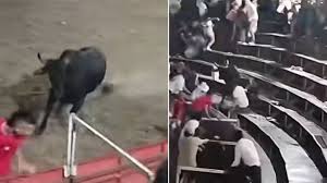 Toro brincó a las graderías durante una corraleja y sacó corriendo a todo mundo; hubo varios heridos en la huida