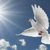 Obituary information for Richard W. Simmons