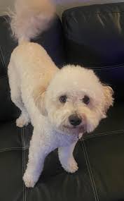 Hey there...here is Frida.💕😘