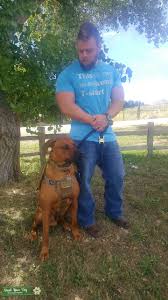 Check spelling or type a new query. Stud Dog Large Rhodesian Ridgeback Male Breed Your Dog