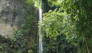  Gunung Wilis Menyimpan Keindahan Yang Sungguh Luar Biasa Salah Satunya Pesona Air Terjun Coban Kromo Air Terjun Ini Terletak Di Area Air Terjun Air Coban