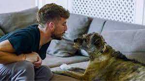 Zo keek kat kerkhofs samen met haar broer naar de wedstrijd en blijkbaar hadden de twee ook een weddenschap afgesloten. Pin Op Actors