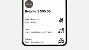Maybe you would like to learn more about one of these? Klarna Norge