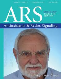 Iron Regulatory Proteins: From Molecular Mechanisms to Drug Development