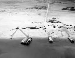 Image result for Red Marina 1993 UMM