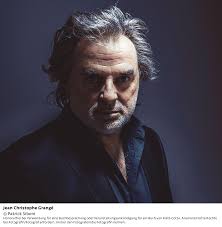 Feuerland von Pascal Engman