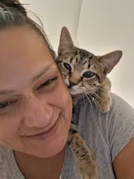 Tips to keep kitten off counter and window sill