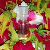 We did not find results for: Minyak Pelet Mani Gajah Ki Joyo Home Facebook