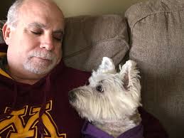 Adopting a companion for my lonely Yorky