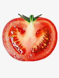 Tomate Fatia De Tomate Legumes Fruta Imagem Png E Vetor Para Download Gratuito Tomato Fruit Vegetables