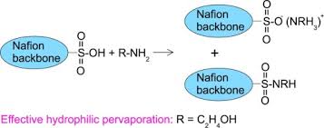Nafion membranes come in many different thickness and types. Nafion Modified With Primary Amines Chemical Structure Sorption Properties And Pervaporative Separation Of Methanol Dimethyl Carbonate Mixtures Sciencedirect