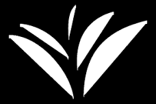 BOL - Bolivar Book Club (Adults)