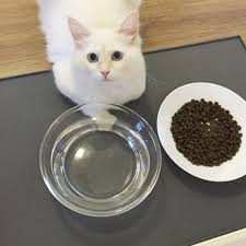 Koo Koo Pet Feeding Mat With Food Grade Silicone Protect Floor From Food And Water Spills Details Can Be Found By Cl Pet Food Mat Dog Bowl Mat Food Animals