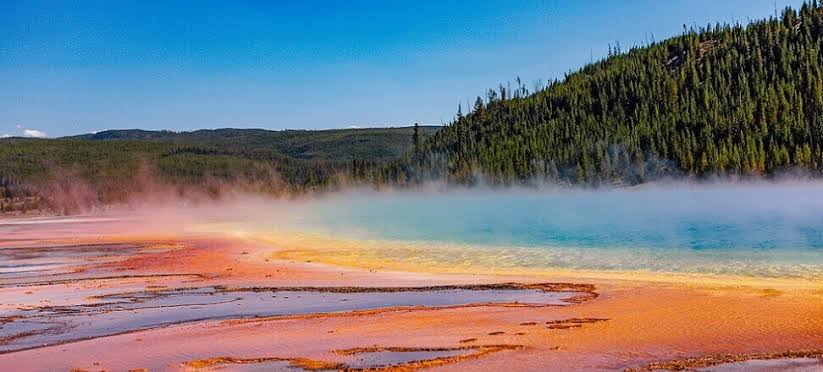 Yellowstone Picture