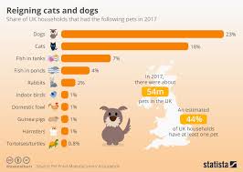 Chart Reigning Cats And Dogs Statista