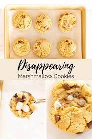 Disappearing Marshmallow Cookies Easy Cookie Recipes Recipe Classic Cookies Recipes Easy Cookie Recipes Drop Cookie Recipes