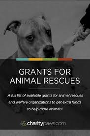 50 Grant Funding Opportunities For Animal Rescues Shelters Animal Rescue Fundraising Dog Rescue Fundraising Animal Rescue