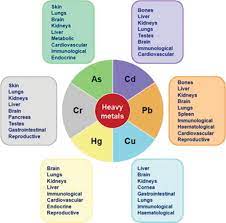 Environmental Contamination By Heavy Metals Intechopen