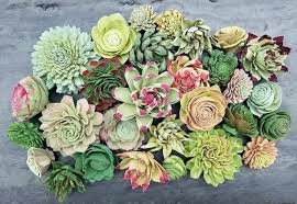 These unique flowers are made from sola wood that comes from a tapioca plant root. How To Dye Wood Flowers Succulents Edition Hometalk