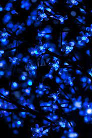 The light used is a natural violet or blue light, and it's considered to be an alternative treatment. Lighted Blue String Lights Blue Led Led Light Plant Decor Abstract Background Bright Pxfuel