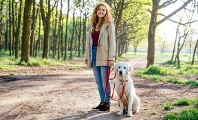 Find high quality dog walking images clip art, all png clipart images with transparent backgroud can be download for free! Rover Vs Wag Which Dog Walking App Leads The Pack