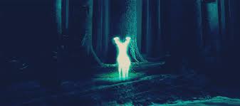 Thestral Patronus Gif Patronuses A Guide Ilvermorny Amino patronuses a guide ilvermorny amino