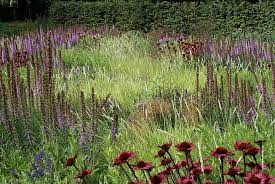 This course reveals piet oudolf's revolutionary plantings of the high line, new york city's famous landscaped railway line that. Bonn Piet Oudolf Naturalistic Garden Piet Oudolf Garden Natural Garden