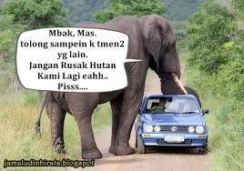 Perlindungan flora dan fauna di tingkat global. Komunitas Perlindungan Flora Dan Fauna Kalimantan Facebook